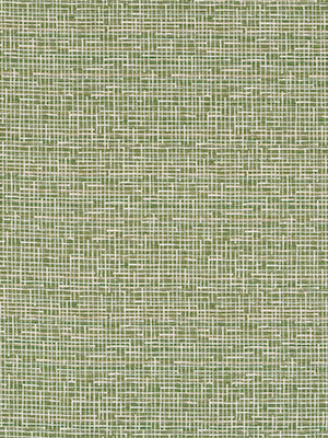 REXFORD | FERN