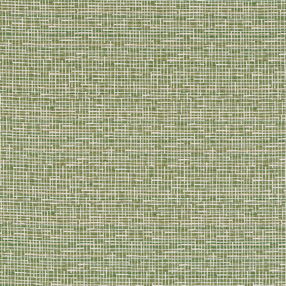 REXFORD | FERN