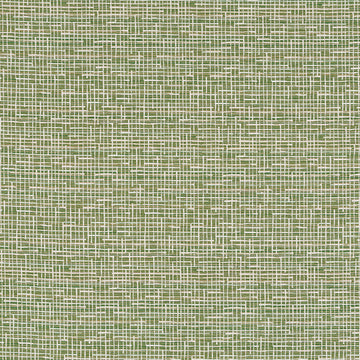 REXFORD | FERN
