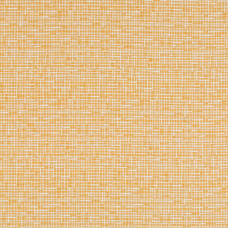 REXFORD | MARIGOLD