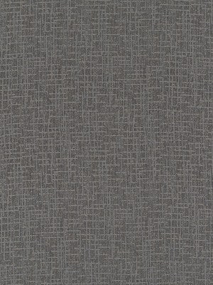WINLOCK | CHARCOAL - Multi-purpose