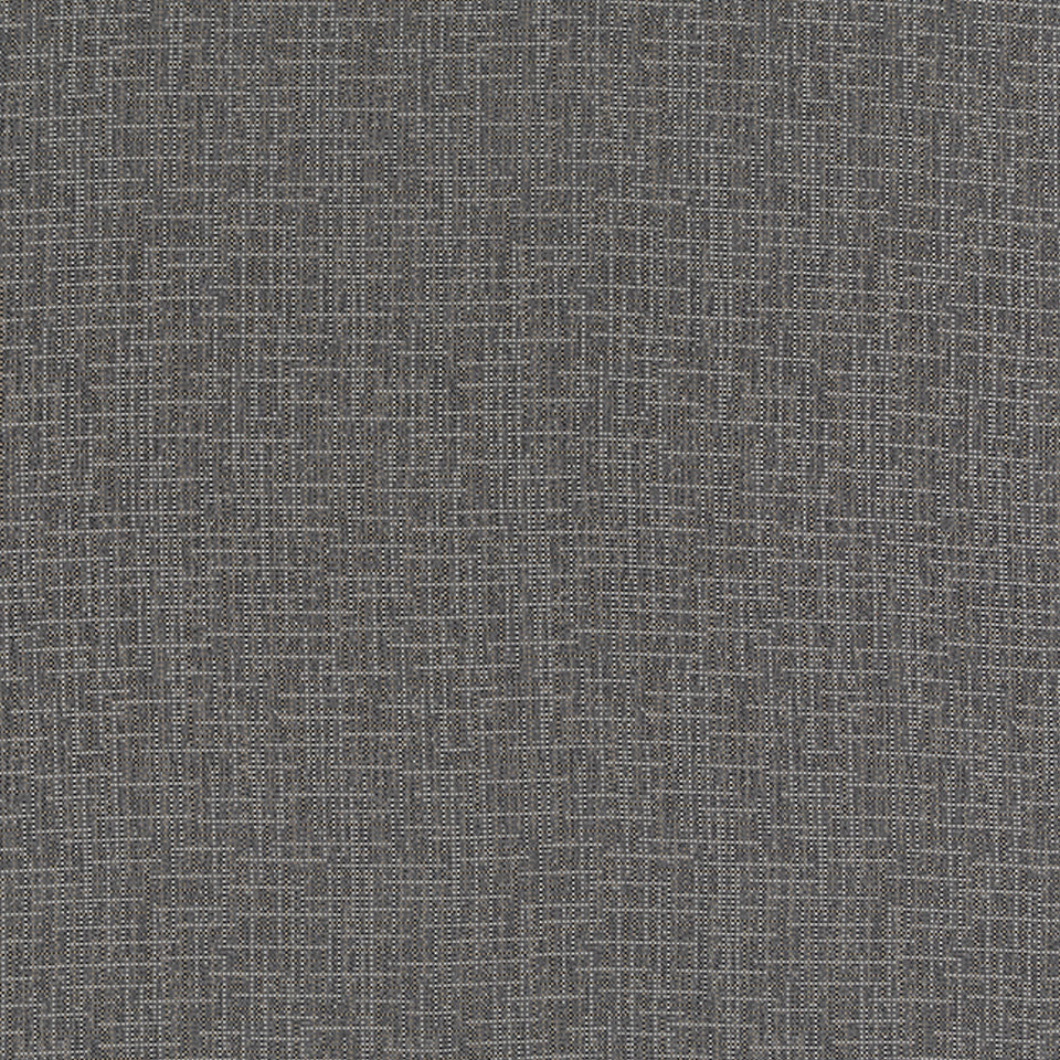 WINLOCK | CHARCOAL