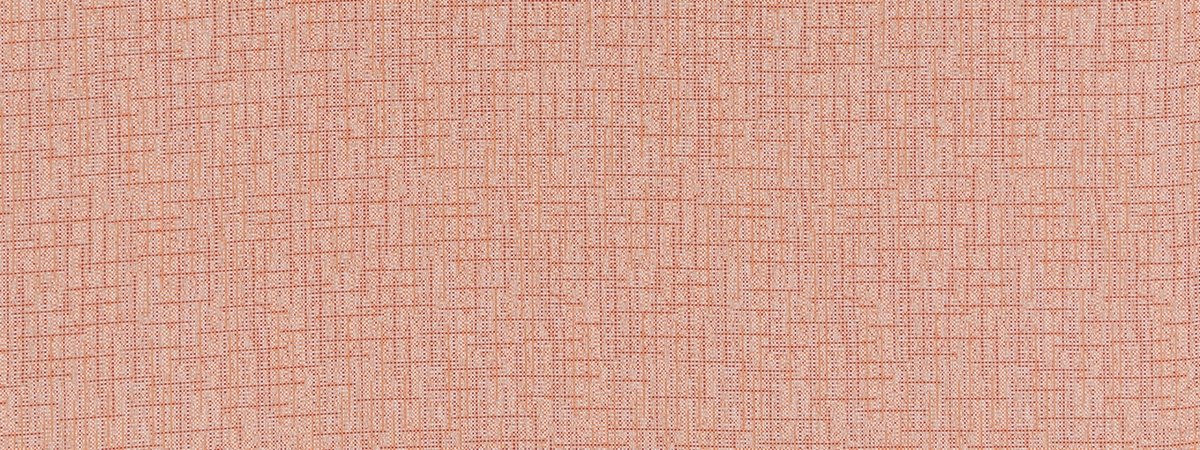 WINLOCK | EMBER - Multi-purpose