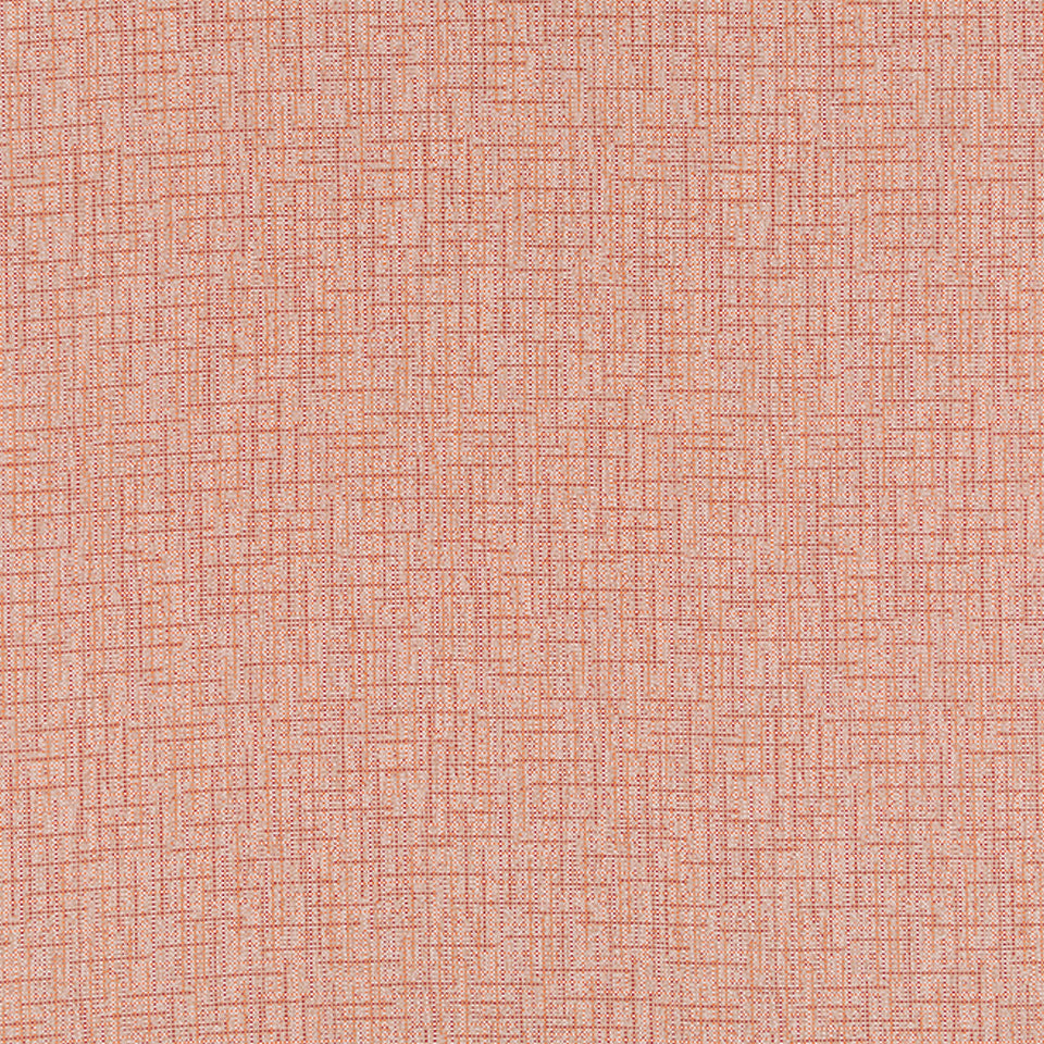 WINLOCK | EMBER