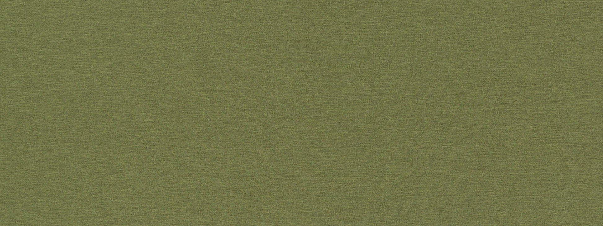 ARDENVOIR | FERN