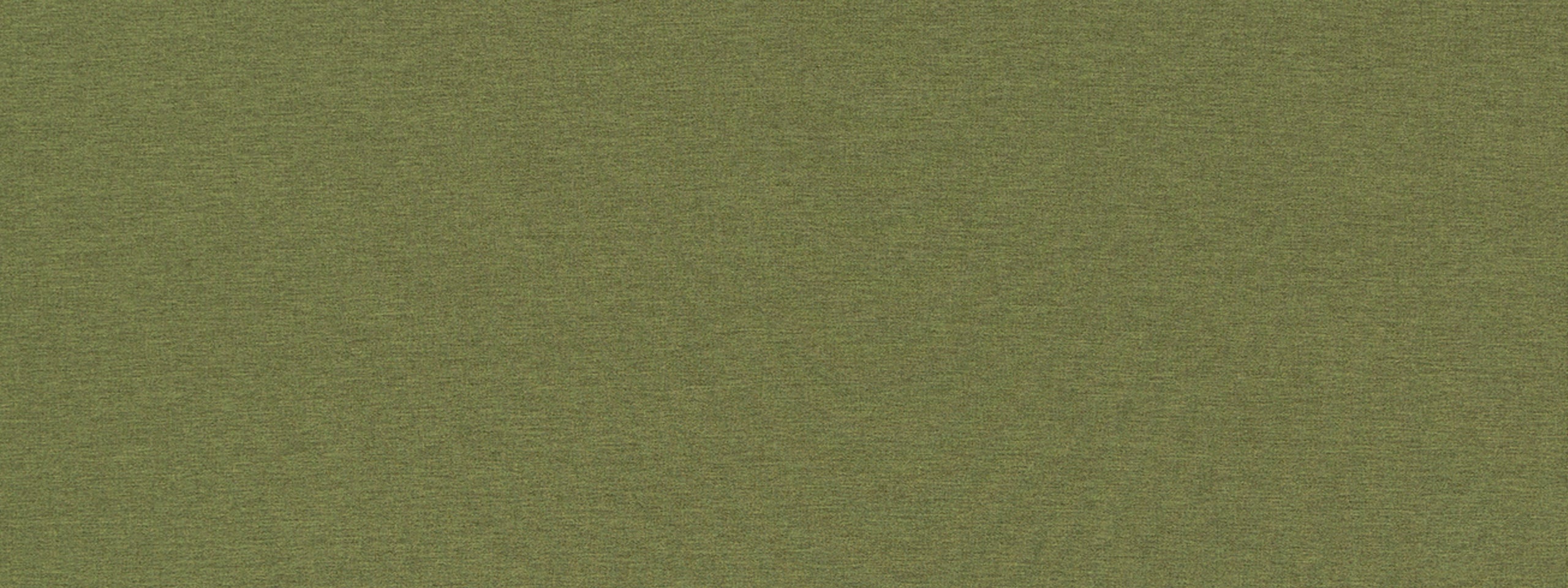 ARDENVOIR | FERN