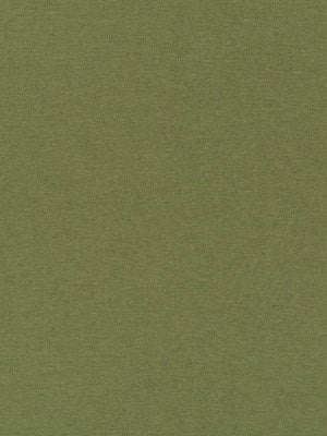 ARDENVOIR | FERN