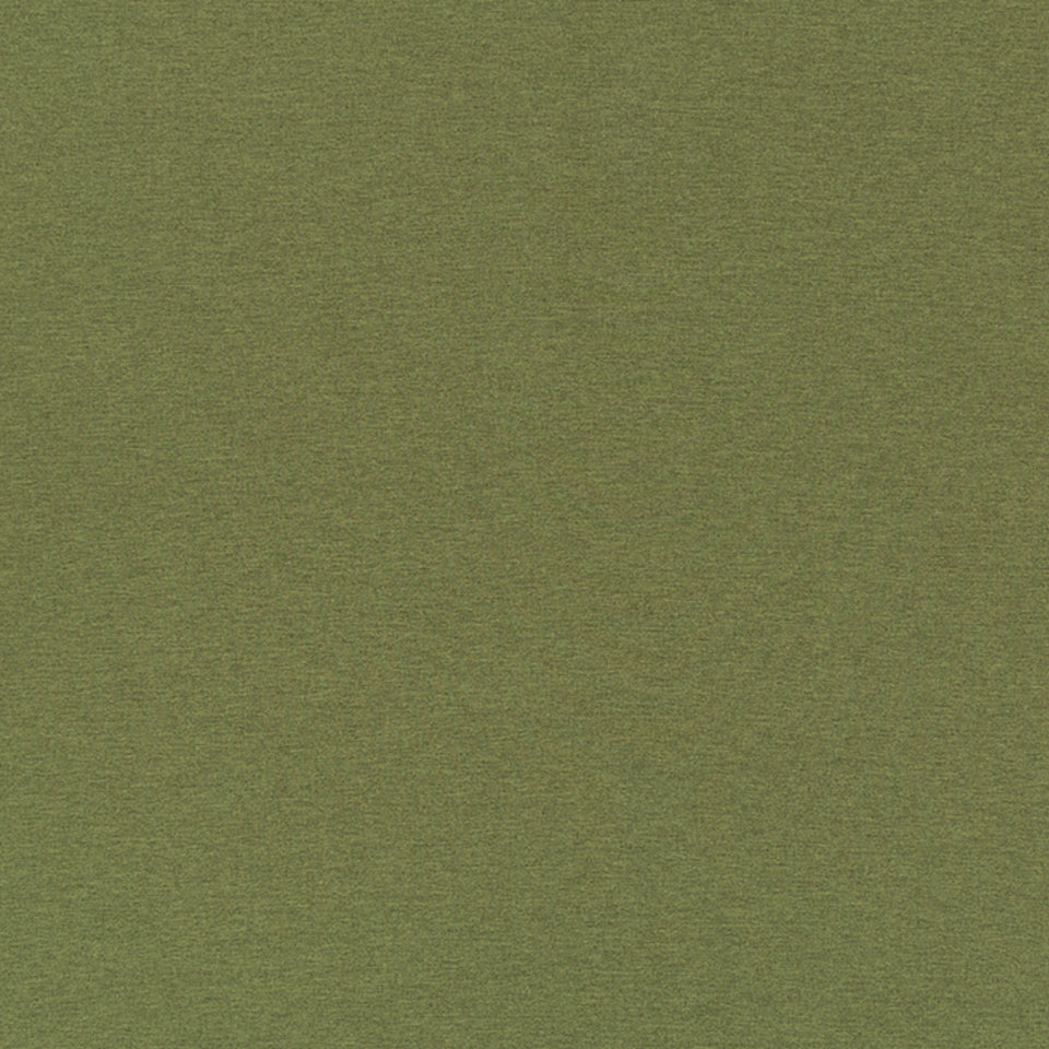 ARDENVOIR | FERN