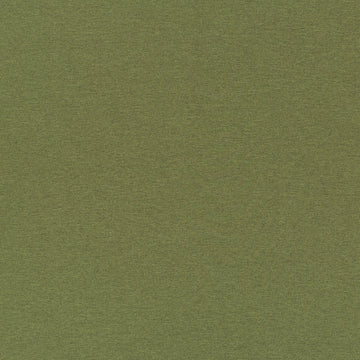 ARDENVOIR | FERN