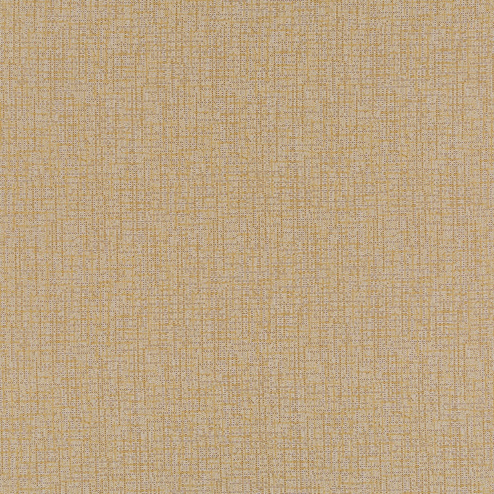WINLOCK | MUSTARD