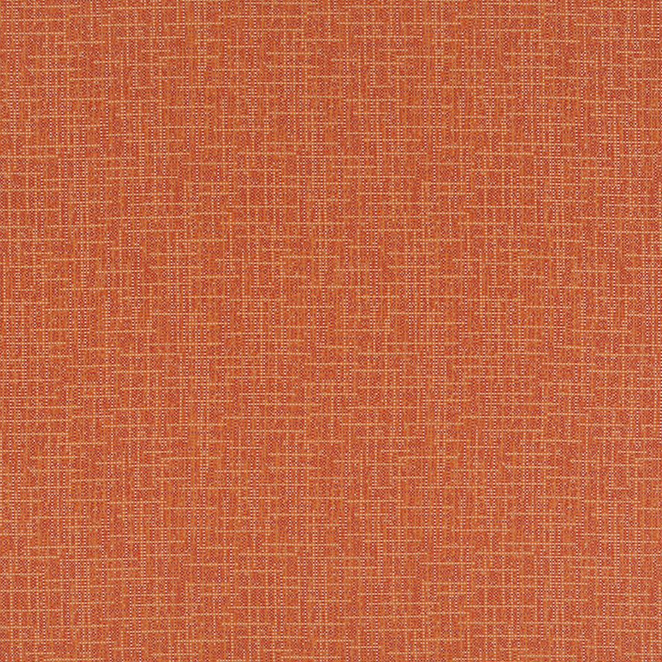 WINLOCK | TERRACOTTA