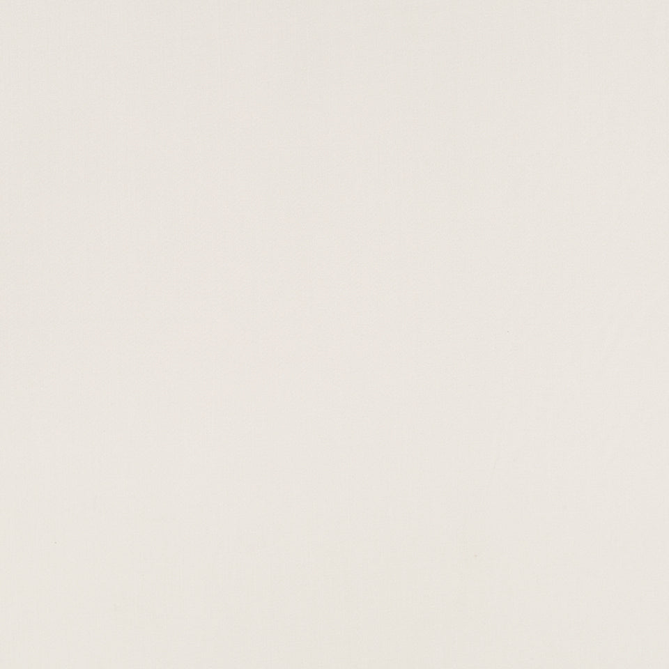 HALMORE LANE | BONE