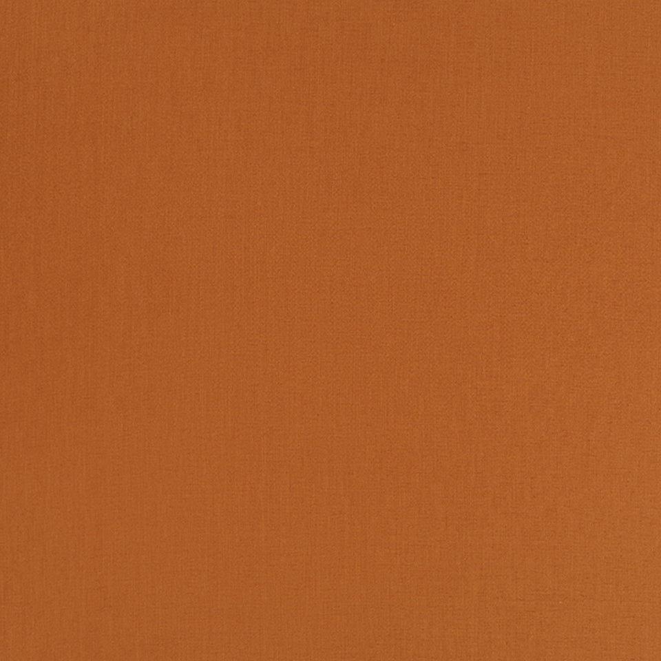 HALMORE LANE | PERSIMMON