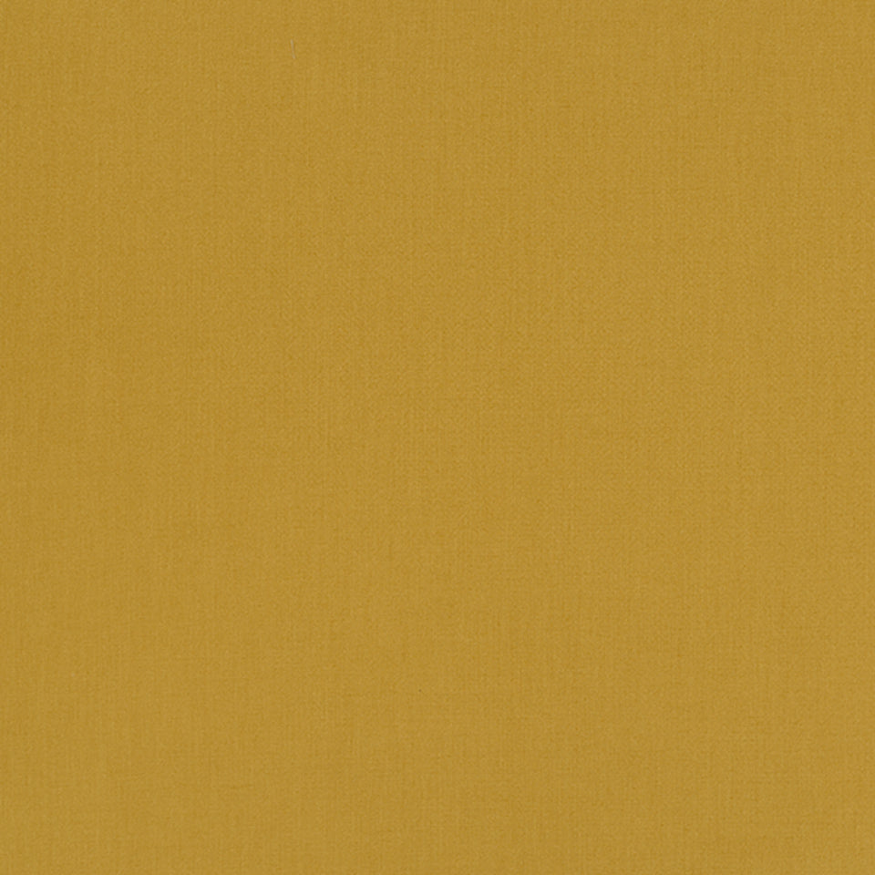 HALMORE LANE | MUSTARD