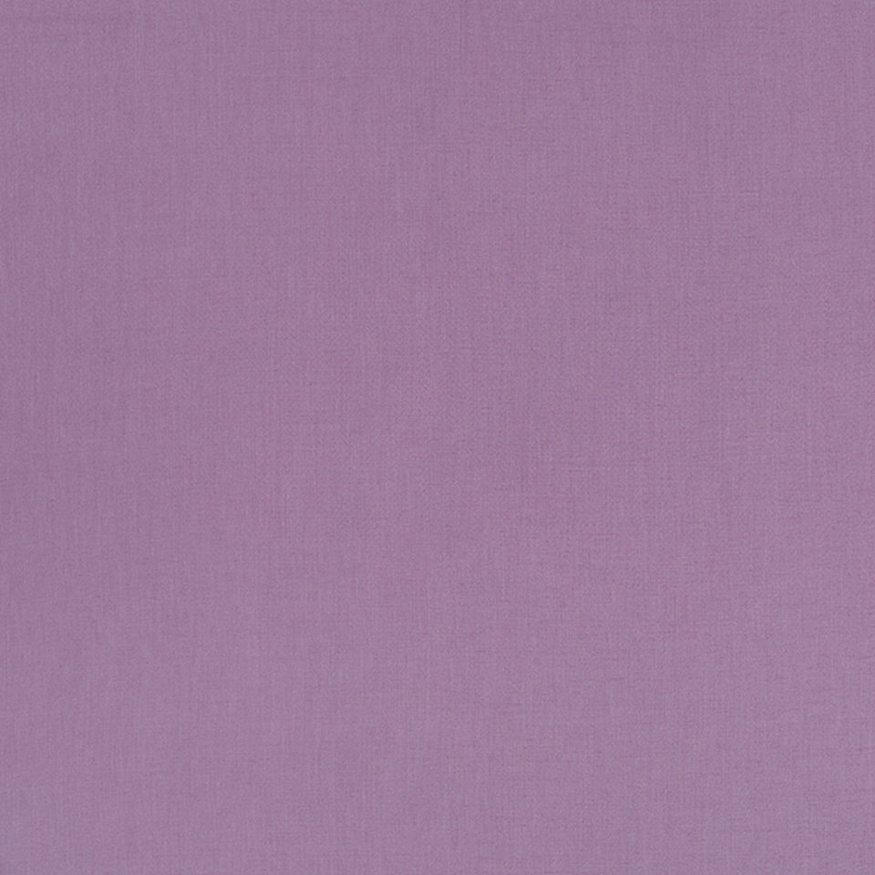 HALMORE LANE | LAVENDER