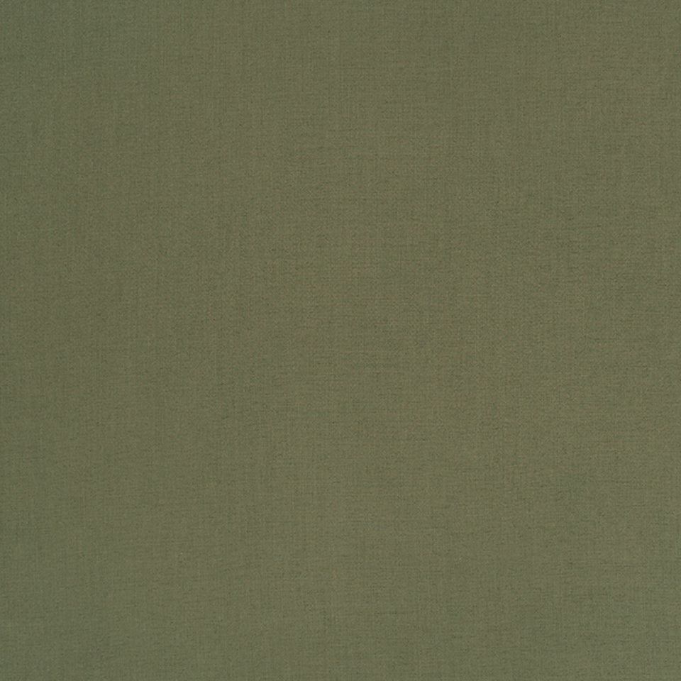 HALMORE LANE | MOSS