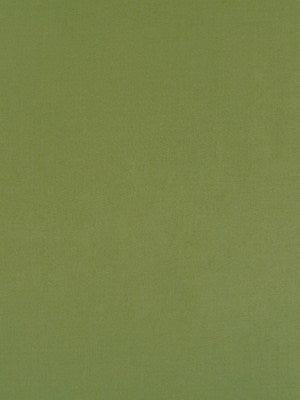 HALMORE LANE | EDAMAME - Multi-purpose