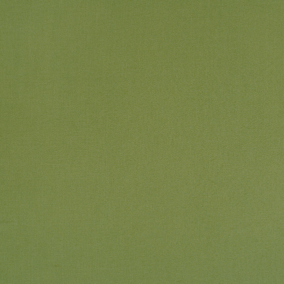 HALMORE LANE | EDAMAME