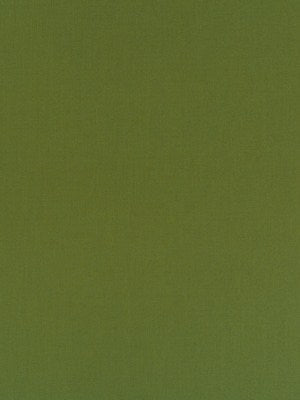 HALMORE LANE | FERN - Multi-purpose
