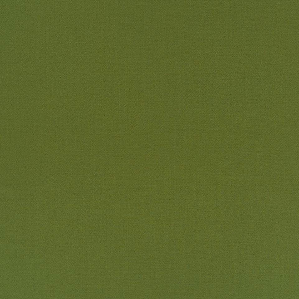 HALMORE LANE | FERN