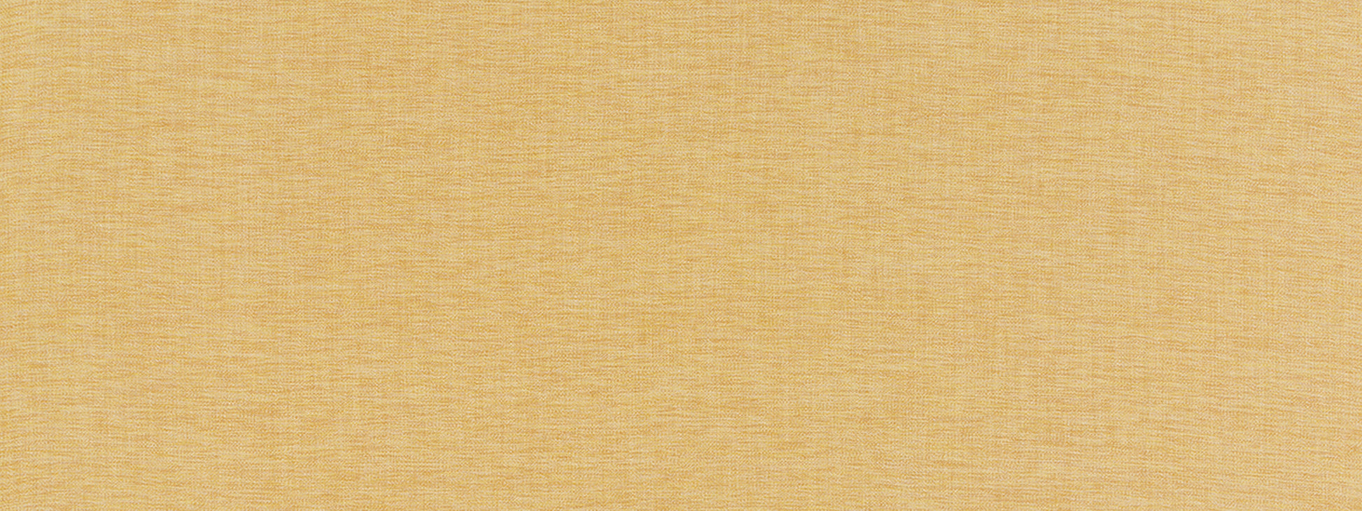 WENATCHEE | MUSTARD