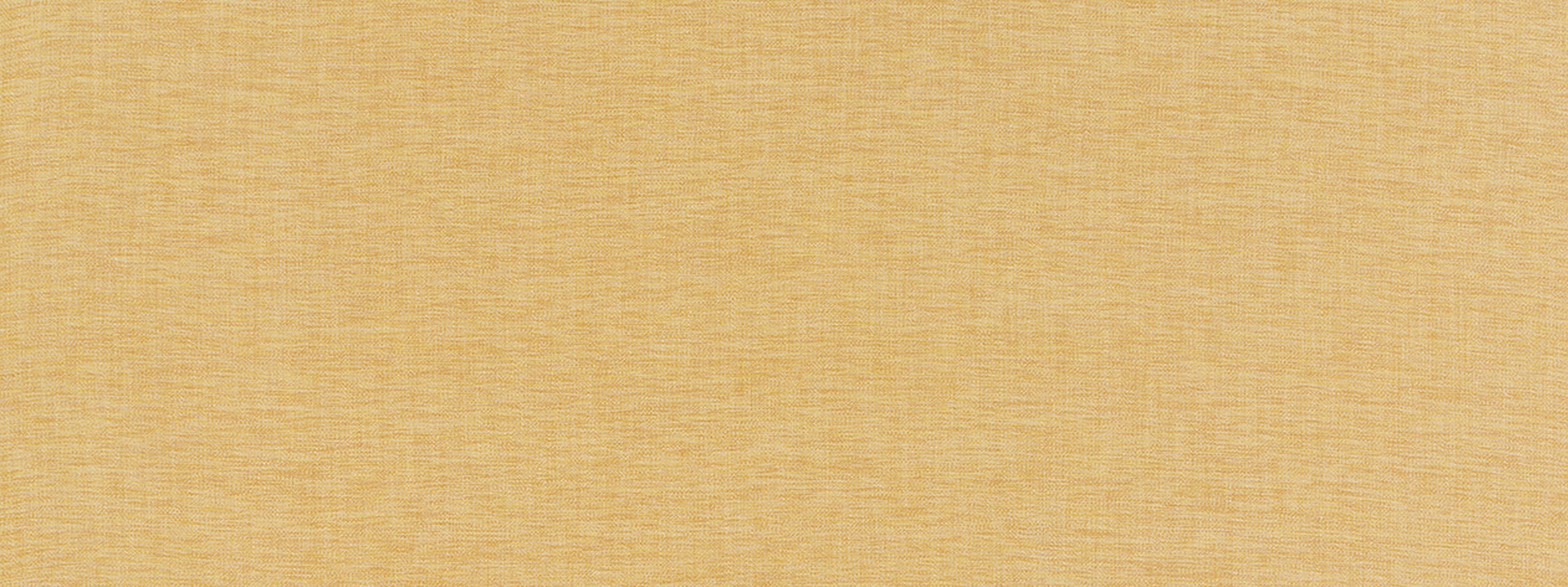 WENATCHEE | MUSTARD