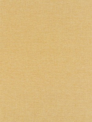 WENATCHEE | MUSTARD