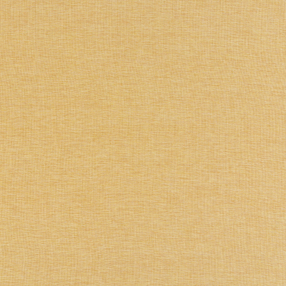 WENATCHEE | MUSTARD