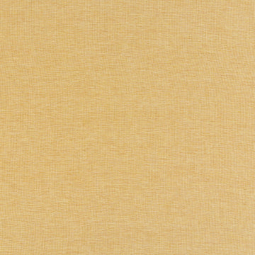 WENATCHEE | MUSTARD