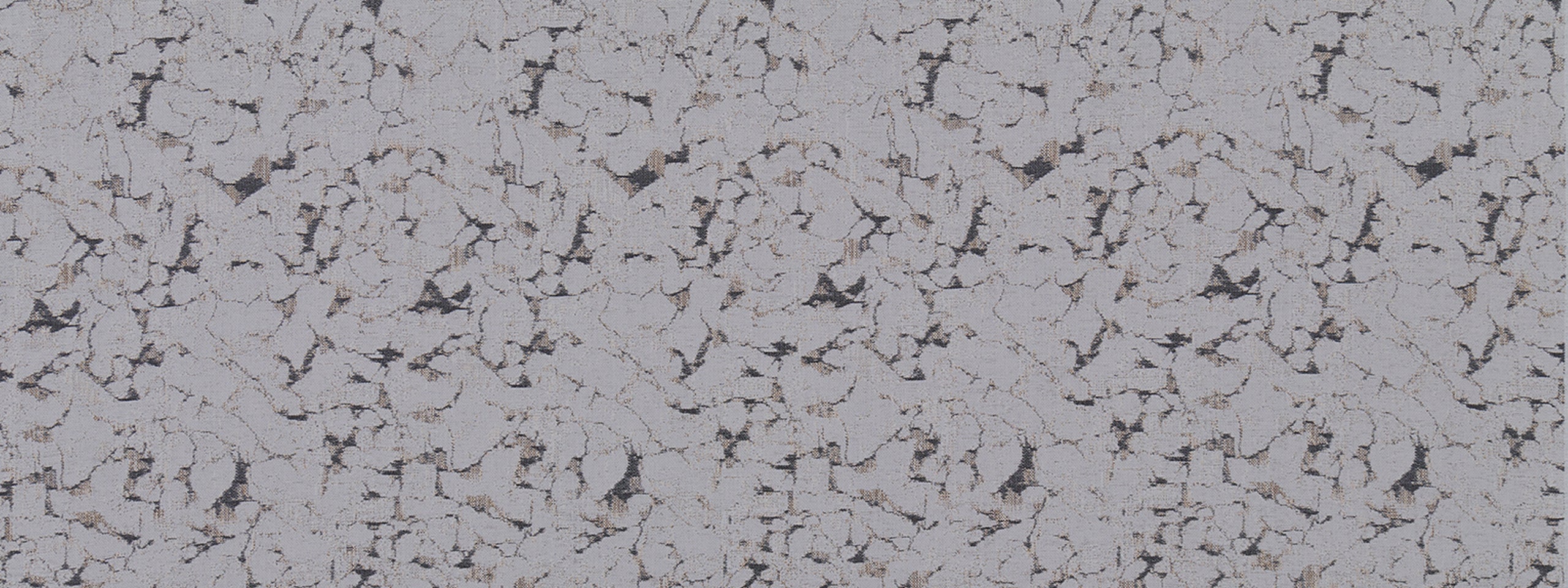 CHINOOK | GREYSTONE