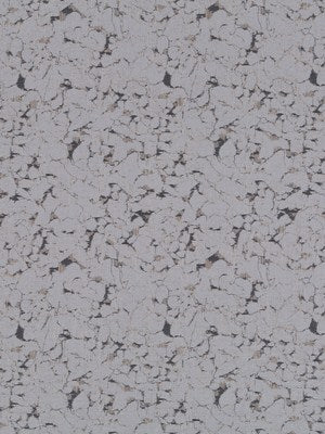 CHINOOK | GREYSTONE