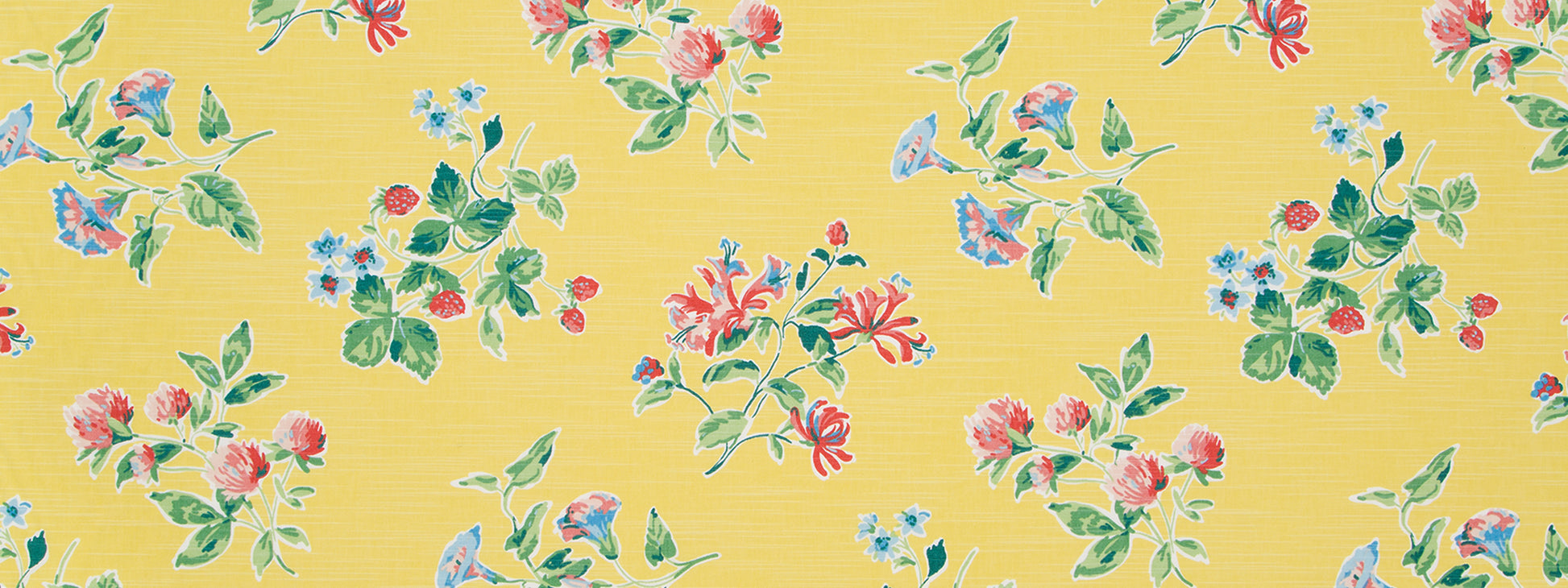 HALSEY PLACE | DAFFODIL