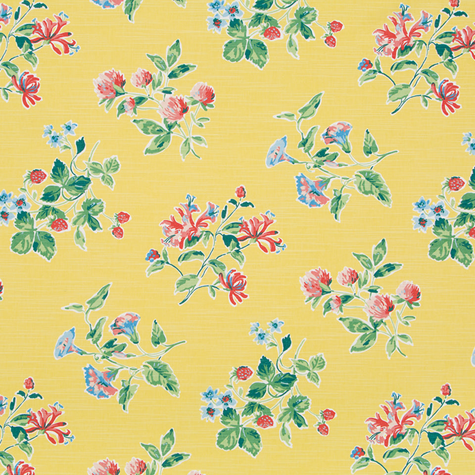 HALSEY PLACE | DAFFODIL
