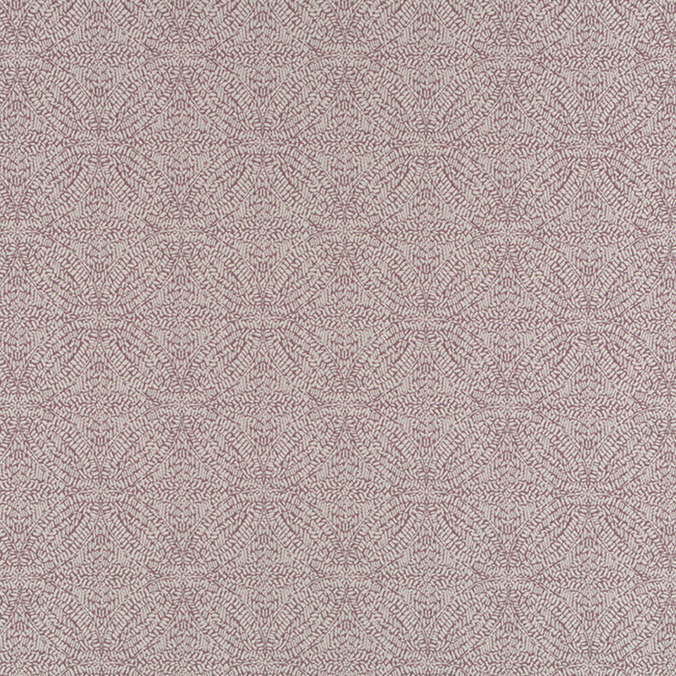 DODSON | LILAC