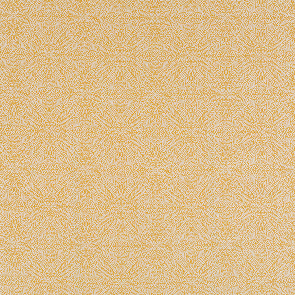 DODSON | MARIGOLD
