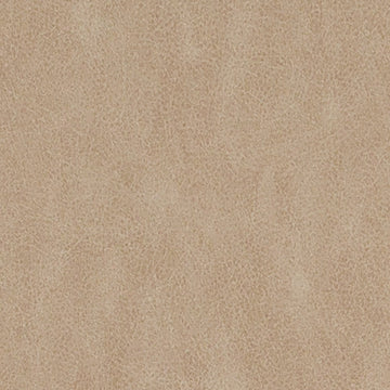DF16289 | 283-CHAMOIS