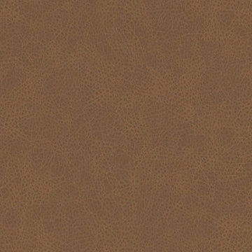 DF16285 | 136-SPICE - Upholstery - Fabric