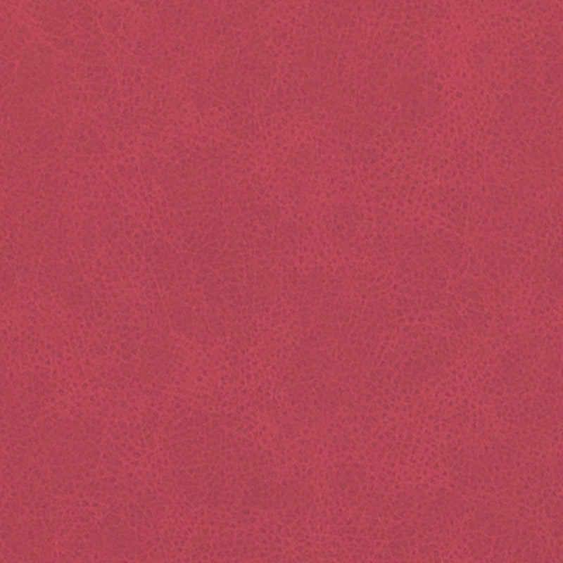 DF16285 | 224-BERRY