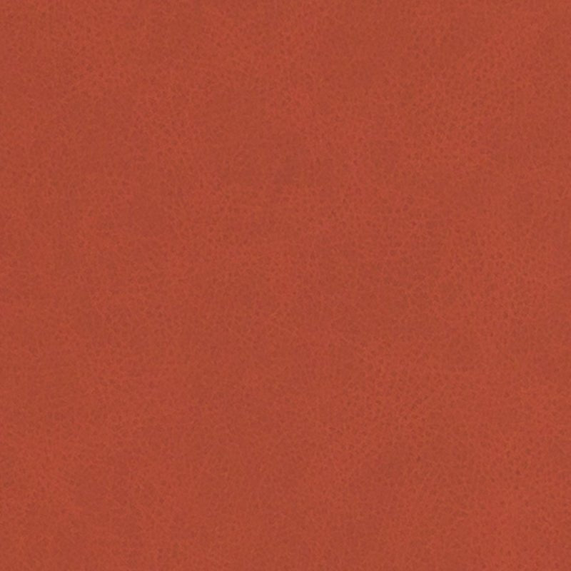 DF16285 | 33-PERSIMMON - Upholstery - Fabric
