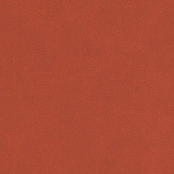 DF16285 | 33-PERSIMMON - Upholstery - Fabric