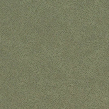 DF16285 | 343-CACTUS - Upholstery - Fabric