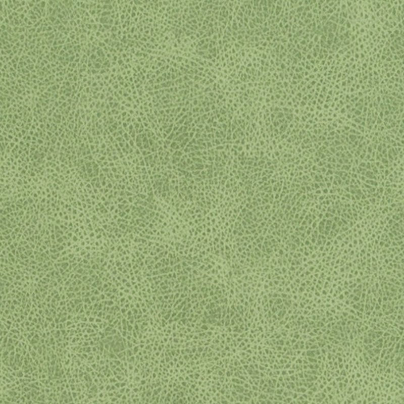 DF16285 | 399-PISTACHIO - Upholstery - Fabric