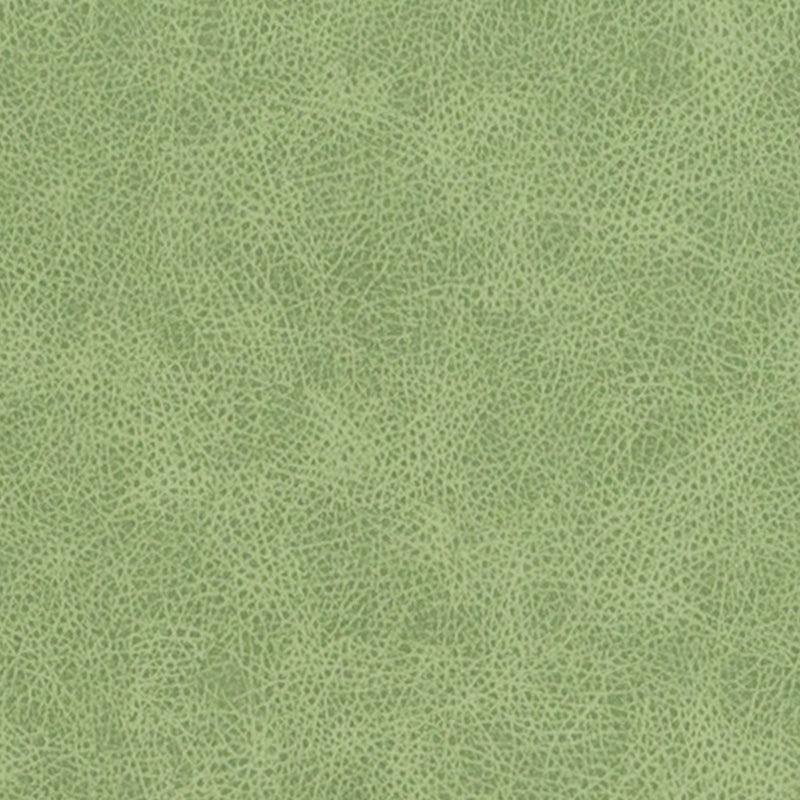 DF16285 | 399-PISTACHIO