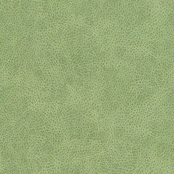 DF16285 | 399-PISTACHIO - Upholstery - Fabric