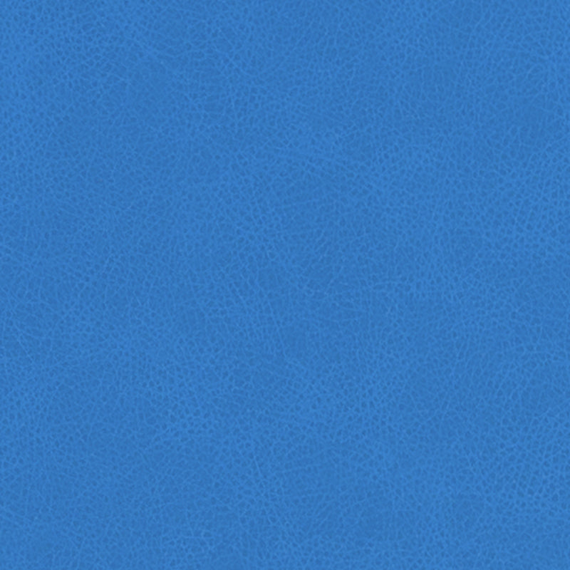 DF16285 | 5-BLUE