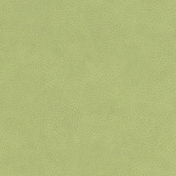 DF16285 | 546-KEYLIME - Upholstery - Fabric