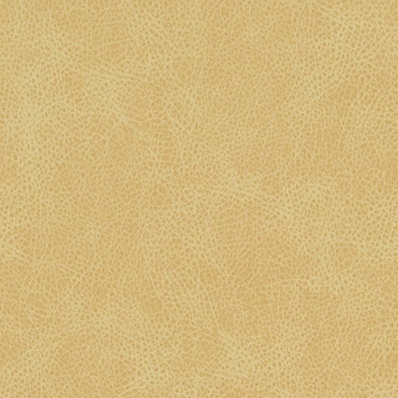 DF16285 | 610-BUTTERCUP