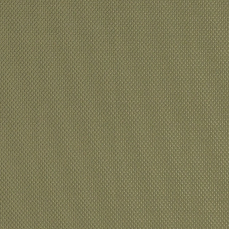 DF16291 | 354-BASIL