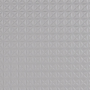 DF16287 | 248-SILVER