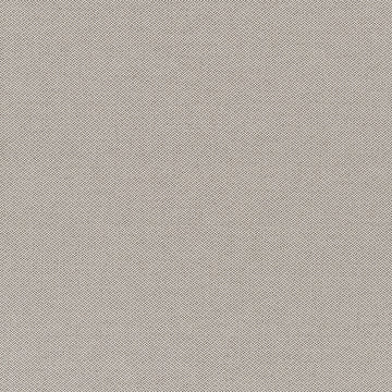 NOBLETEX RR BK | DRIFTWOOD